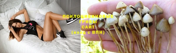 бутират Абинск