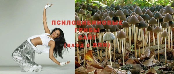 дурь Абдулино