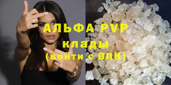стаф Абаза