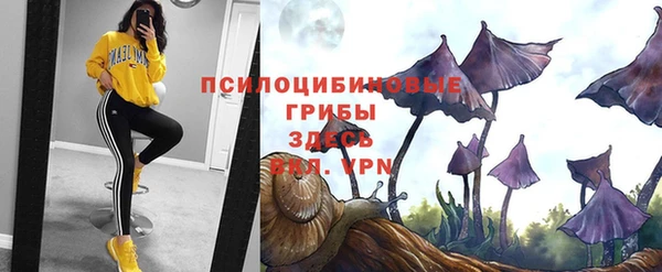 дурь Алексеевка