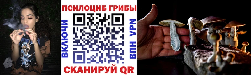 Галлюциногенные грибы Psilocybine cubensis  Тольятти 